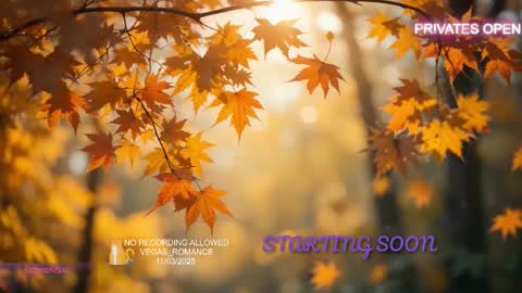 vegas_romance online show from 11.03.25