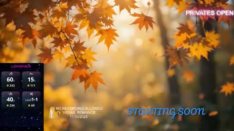 vegas_romance online show from 11.11.25