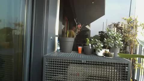 veleskroom online show from 04.20.26