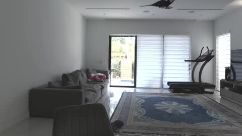 Snapshot of velvettgirl chatting on 02.21.26 VelvetTGirl online show from 02.21.26