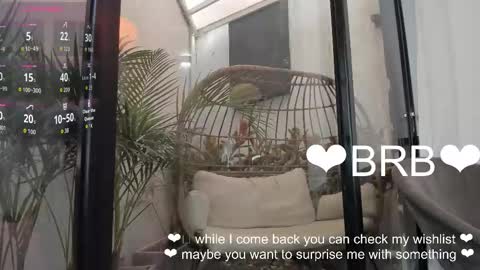 VENUS online show from 01.19.26