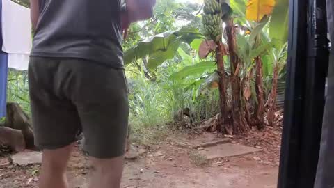 venus ... zeus sheer  online show from 01.20.25