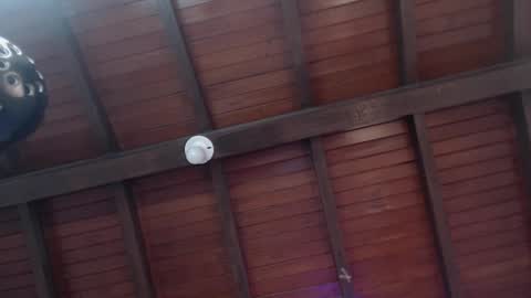 Venus Evans online show from 02.12.25