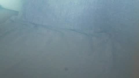 Snapshot of vern37 chatting on 01.30.25 vern37 online show from 01.30.25