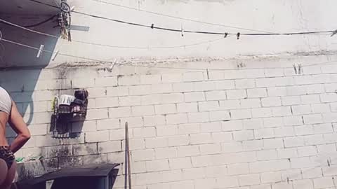 Vero Alva online show from 01.30.25