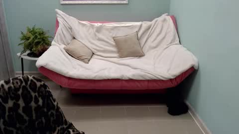 Helen online show from 03.12.25