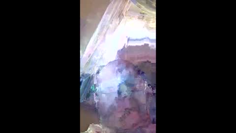 veronika456 online show from 06.11.26