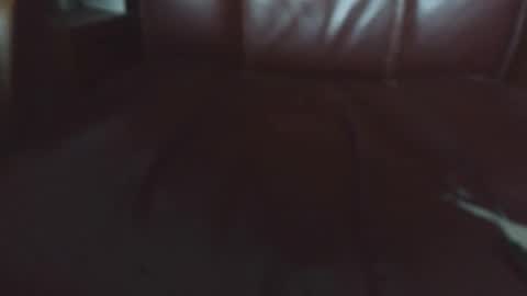 Erik online show from 04.20.26