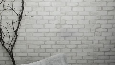 Ana online show from 01.28.25