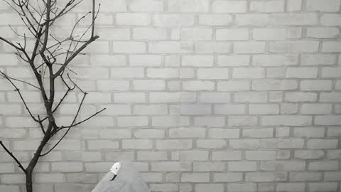 Ana online show from 02.03.25