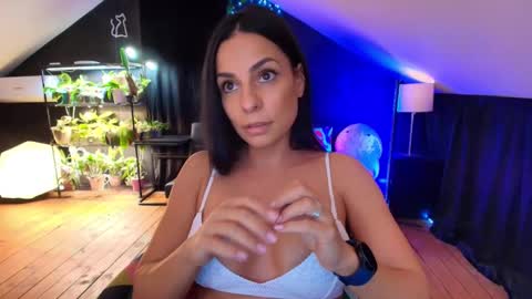 vevelicious online show from 11.07.25