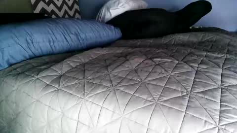 Vexnew online show from 11.02.25