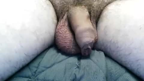 Vexnew online show from 11.18.25