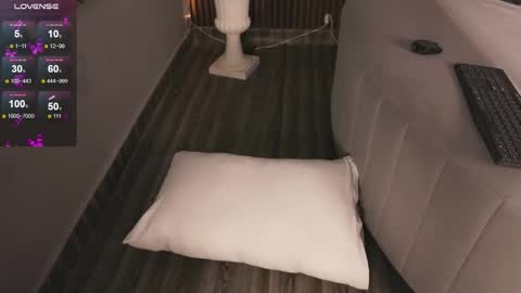 hi Im daniela  I will be online again in 15 hours after each transmission 3 online show from 11.29.25