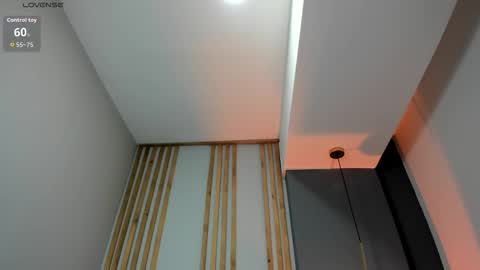 Snapshot of victoriia_vixen chatting on 11.21.25 Victoria Vixen online show from 11.21.25