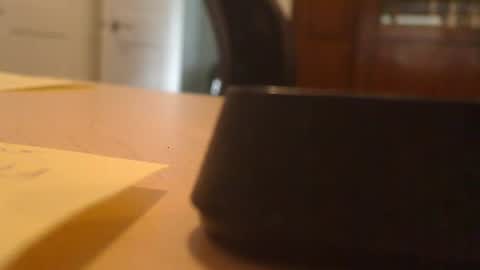 Exhibitionist online show from 02.27.26