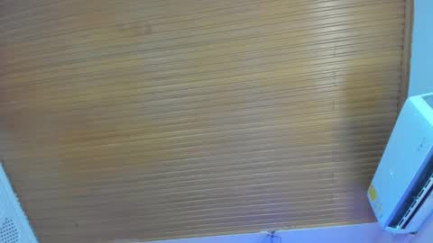 Viiolett online show from 03.29.26