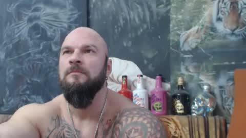 viking online show from 12.02.25