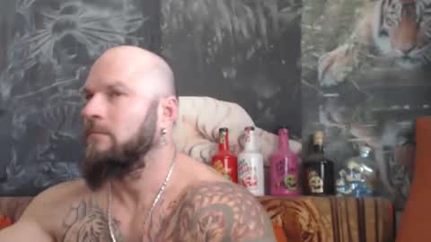 viking online show from 12.19.25