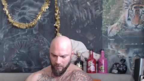 viking online show from 03.20.26