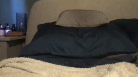 Vinny online show from 03.03.25