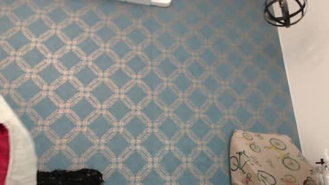 Violeta  online show from 12.06.24