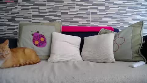 Snapshot of violetagomez_co chatting on 07.07.26 Violeta Gmez online show from 07.07.26