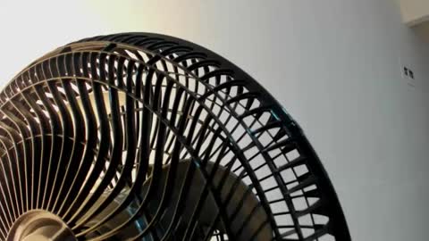 Violet Rose online show from 01.05.26