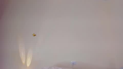 violett_24_ online show from 11.29.25