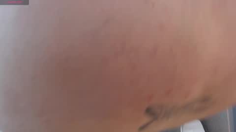 Violetta online show from 11.29.25