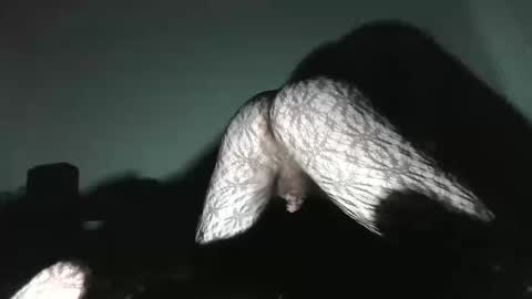 Virgowithabig online show from 01.13.25