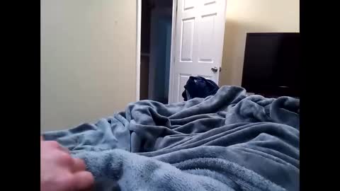 vladedivac1998 online show from 02.20.26