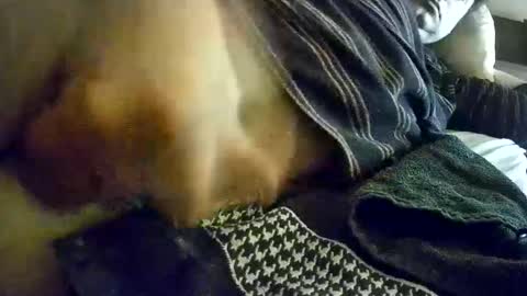 vleeslollie2024 online show from 01.13.25