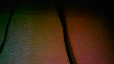 vondavigano online show from 11.16.25