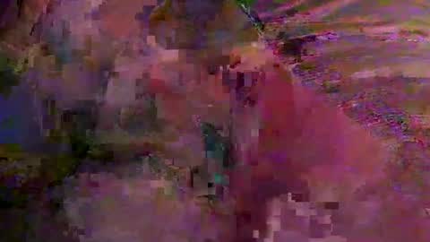 vteck381047 online show from 03.05.26