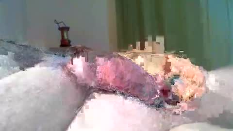 vukavuka99 online show from 03.08.26