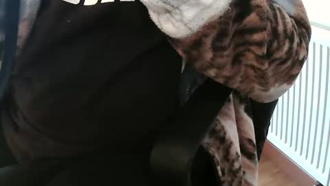 Daniel online show from 02.04.25