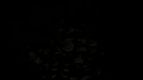 Snapshot of w2456 chatting on 11.25.25 w2456 online show from 11.25.25