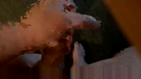Dirty Slut Teacher online show from 04.15.26