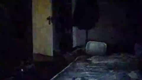 Walter online show from 11.14.25