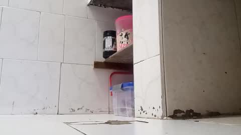 WaltherFeet  online show from 01.02.25