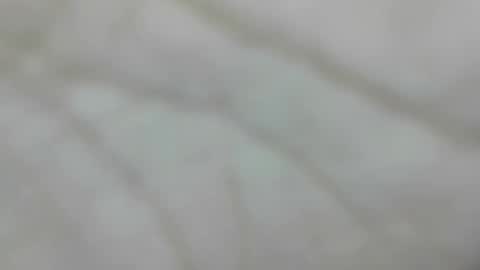 wangi_wangi online show from 01.10.26