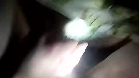 Snapshot of wariatos3 chatting on 01.10.25 wariatos3 online show from 01.10.25