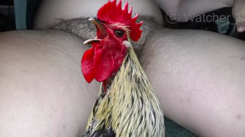 classified online show from 12.29.24