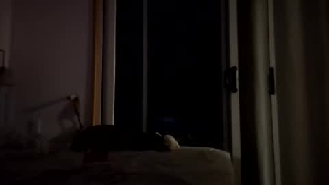 watershed111111 online show from 01.14.26