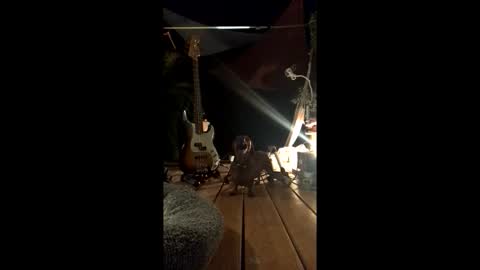 Snapshot of watershed111111 chatting on 02.19.26 watershed111111 online show from 02.19.26