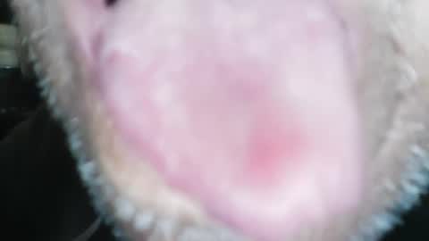 Snapshot of wayne1311 chatting on 01.23.25 wayne1311 online show from 01.23.25