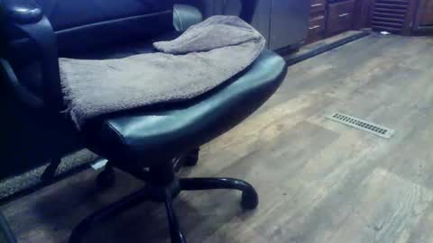 wayne1311 online show from 02.03.26