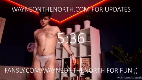 Snapshot of waynenorth chatting on 03.26.26 waynenorth online show from 03.26.26