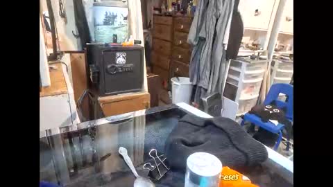 wcnmail24 online show from 01.08.26